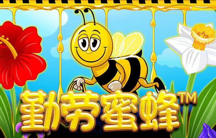 新利18体育全站