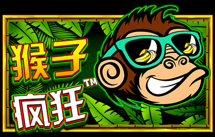 KY体育官方网站